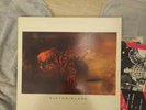 THE COCTEAU TWINS VICTORIALAND LP 1986 VIRGIN 4AD CAD 602 oop rare original