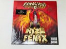 Tenacious D Rize of the Fenix Vinyl Record jack black - F8