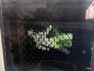 The Raconteurs Help Us Stranger Vinyl Third Man Vault Exclusive Green Sealed