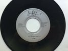 INA RAY: Popular Girl/Wild Thing 45 RPM RARE New Wave/Punk from Boston