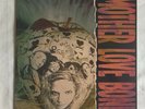 Mother Love Bone  Apple  Vinyl LP  Polydor 1990 ** Nr Mint** Pearl Jam