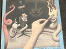 The Chameleons UK - Strange Times - Geffen 24119 - 2 LP- 1986 Original Vinyl  VG