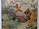 SINCERELY ANTIQUE Vinyl LP Funny LP-502 Latin Funk RARE GROOVE 1973 Crumbs/Table