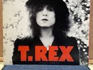 T REX -  THE SLIDER -MS 2095 1972 Reprise Vinyl Lp Ex+,Ultrasonic Cleaned