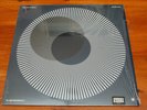 Sundara Karma-Youth is Only Ever Fun in Retrospect - clear vinyl / LP - RCA 2017
