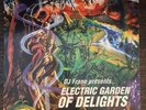 DJ FRANE   Electric Garden of Delights 2xLP Vinyl Original 1st Pressing VG+/VG+