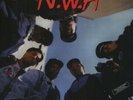 N.W.A. ***Straight Outta Compton **BRAND NEW RECORD LP VINYL  NWA