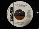 THE TEMPESTS CAN'T GET YOU OUT OF MY MIND/ WHAT YOU GONNA DO 45 RPM VINYL