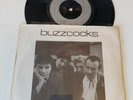 BUZZCOCKS 