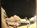 Weezer Pinkerton Vinyl LP Record Blue Marble Gatefold NM