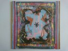 SEBADOH BUBBLE & SCRAPE SOUL AND FIRE DOMINO WIGLP4 90'S INDIE