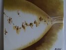 Lambchop - AWCMONNOYOUCMON - UK first PRESS / 2LP FOC