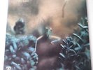 Steely Dan - Katy Lied - Vinyl LP UK 1st Press ABC Black Label EX+/EX+