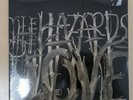 The Decemberists - The Hazards Of Love (12