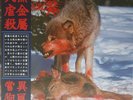 Ifernach ‎– Black Metal Butchery - vinyl edition rare SOLD OUT Goatowarex