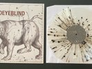 SIGNED THIRD EYE BLIND ursa major VINYL LP ALBUM AUTOGRAPH STEPHAN JENKINS