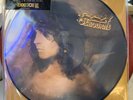 Ozzy Osbourne: No More Tears Picture LP Vinyl RSD BLACK FRIDAY 2021 New Sealed