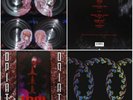 TOOL VINYL 2LP LATERALUS PICTURE DISKS+OPIATE NEW SEALED