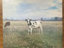Dark Side of the Moo Pink Floyd / The Screaming Abdabs LP VG++/EX 