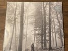 Taylor Swift “Folklore” In The Trees Deluxe Brown Double Vinyl LP Evermore Red