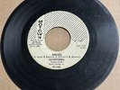 Satintones 1960 DOO WOP 45 Angel / A Love That Can Never Be MOTOWN 1006 G HEAR