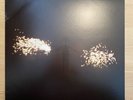Beasts of the Southern Wild - Dan Romer & Benh Zeitlin Original Vinyl Soundtrack