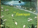 THE FLAMINGOS Checker LP 1433 - Their First Album (1959)