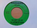 RARE 70s SANDBAG REPRO - EPITOME OF SOUND - YOU DON'T LOVE ME - EX