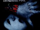 Drowning Pool Sinner (Vinyl) 12