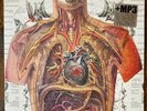 NEW SEALED Strung Out - Prototypes and Painkillers vinyl (Fat Wreck Chords 2009)