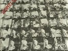 Stiff Little Fingers - Suspect Device (7