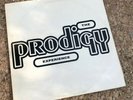 The Prodigy ‎– Experience : XL Recordings ‎– XLLP 110 2 × Vinyl 1992 Gatefold