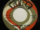 R&B  / Doo-Wop   The Tellers    