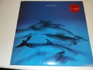 FRAZIER CHORUS - VINYL LPs - SUE + RAY WITH BONUS LIMITED ED 12
