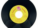THAI FUNK PERCUSSIVE GROOVE DIVA 7