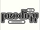 The Prodigy - The Experience, 2x 12