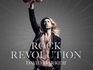 Rock Revolution by David Garrett (Violin) (Vinyl, Oct-2017, Decca, 2LP) *NEW*