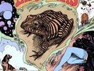 Born with Stripes by The Donkeys (Vinyl, Apr-2011, LP, Dead Oceans) *NEW*