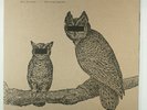 NEIL HALSTEAD Palindrome Hunches ORIGINAL 2012 BRUSHFIRE RECORDS VINYL ALBUM