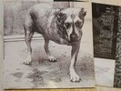 Alice in chains /Alice in chains. Vinyl. Sehr seltene Doppel-LP.