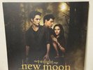 The Twilight Saga New Moon Motion Picture Soundtrack 2009 Double LP Album Rare