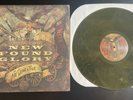 Not Without a Fight by New Found Glory (Record, 2009) MINT CONDITION