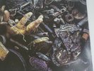 DYSTOPIA - HUMAN = GARBAGE - Vinyl Record DLP.. - e8200e