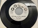 The Topics with Frankie Valli 1962 DOOWOP 45 The Girl In My Dreams PERRI M- HEAR
