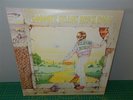 Elton John . Goodbye Yellow Brick Road . Trifold Jacket . 2x MCA Record LP NM