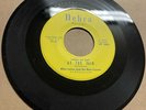 Mike Lanzo Blue Counts DOO WOP HALLOWEEN 45 At The Fair Ghost Town DEBRA M- HEAR