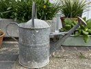 Vintage Galvanised Watering Can & Rose Garden/Allotment Rustic Planter #1
