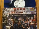 SKARHEAD DREAMS DON'T DIE LP BLACK/BLUE VINYL #119/150 NYHC LEEWAY SHEER TERROR