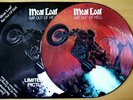EX/EX MEATLOAF BAT OUT OF HELL 12