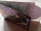 RIGHTEOUS PIGS: Live And Learn Vinyl 12